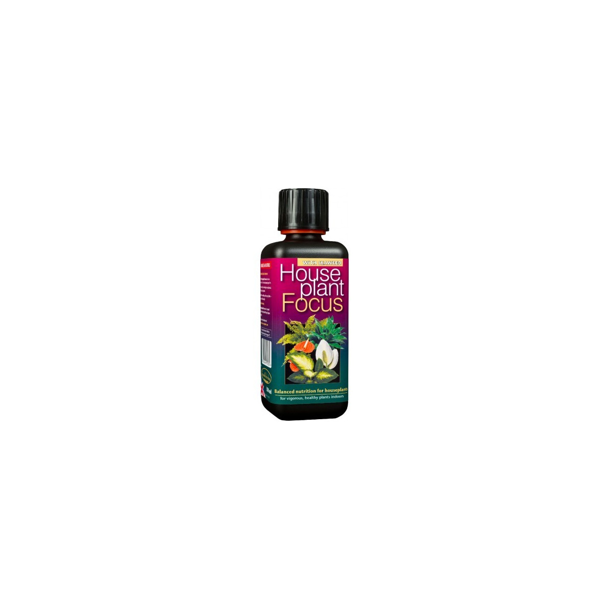 Hnojivo pre izbové rastliny - House plant focus - 300 ml
