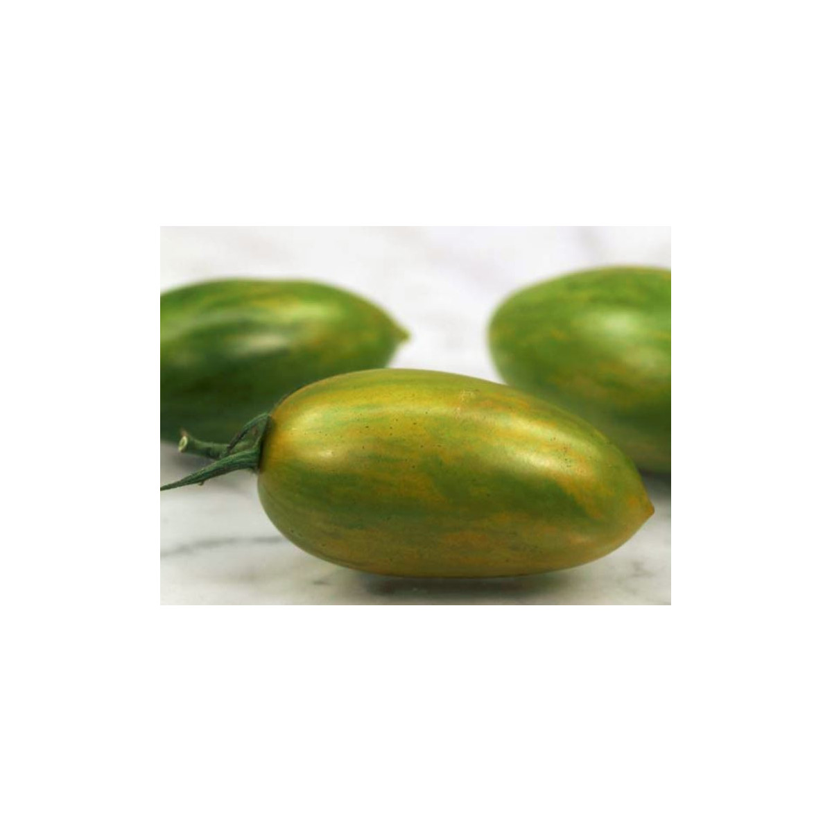 Paradajka Artisan Green Tiger - Kolíková - Solanum lycopersicum - Predaj semien rajčiaka - 5 ks