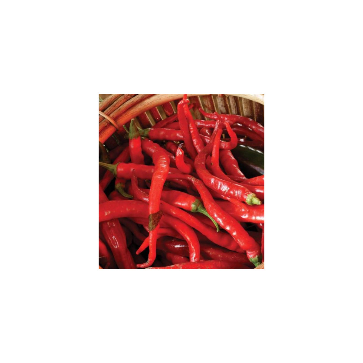 Chilli - Kajenské korenie Thick - Cayenne pepper - semená - 8 ks
