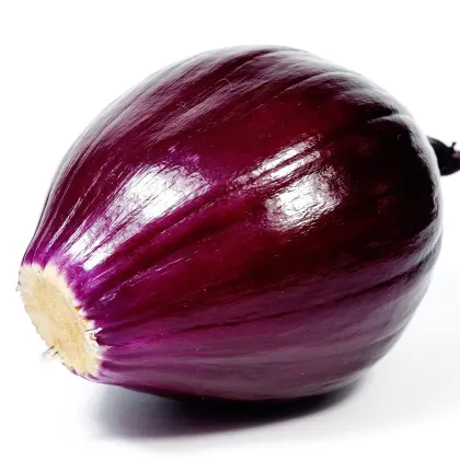 Cibuľa Červený barón - Allium cepa L. - semiačka - 0,5 g