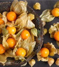 Machovka peruánska - Physalis edulis - semiačka - 10 ks