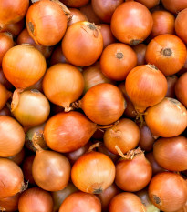 BIO Cibuľa Sturon - Allium cepa - predaj bio semien - 500 ks
