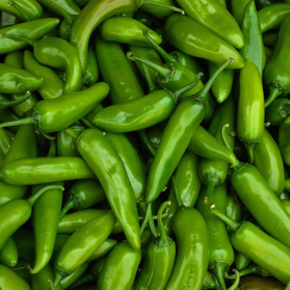 Chilli Veľký Jim - Capsicum annuum - predaj semien - 7 ks