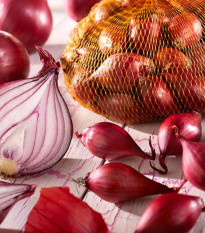 Cibuľa červená sadzačka Rote - Allium cepa - predaj cibule - 250 g