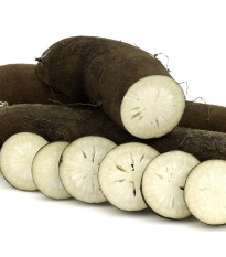 Reďkovka siata dlhá čierna - Raphanus sativus niger - semienka reďkvi - 200 ks