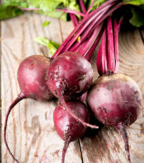 Bio cvikla Detroit 2 - Beta vulgaris var. vulgaris - predaj bio semien - 50 ks