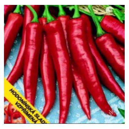 Paprika Hodonínska sladká - Capsicum annuum - predaj semien - 90 ks