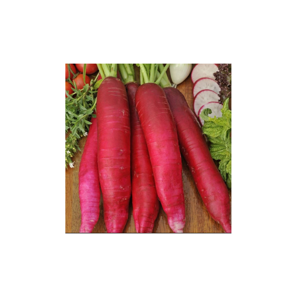 Reďkovka Ostergruss Rosa 2 - Raphanus sativus - semienka reďkvi - 80 ks