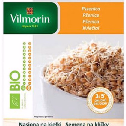 Bio semená na klíčky - Bio pšenica - semená - 40 g