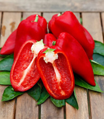 Paprika Snacking Red F1 - Capsicum annuum - predaj semien - 5 ks