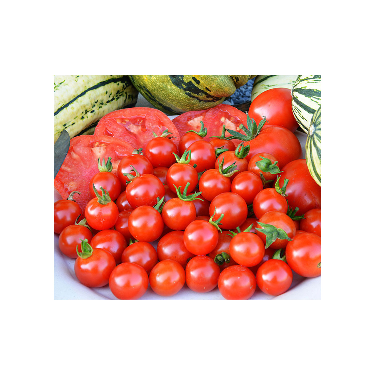 Paradajka Sweet Aperitif - kolíková odroda - Solanum lycopersicum - Semená rajčiaka - 6 ks