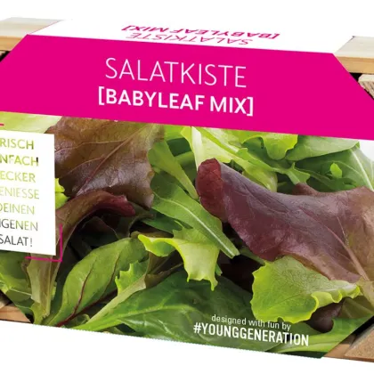 Pestovateľská sada na šaláty s dreveným kvetináčom – 1 ks