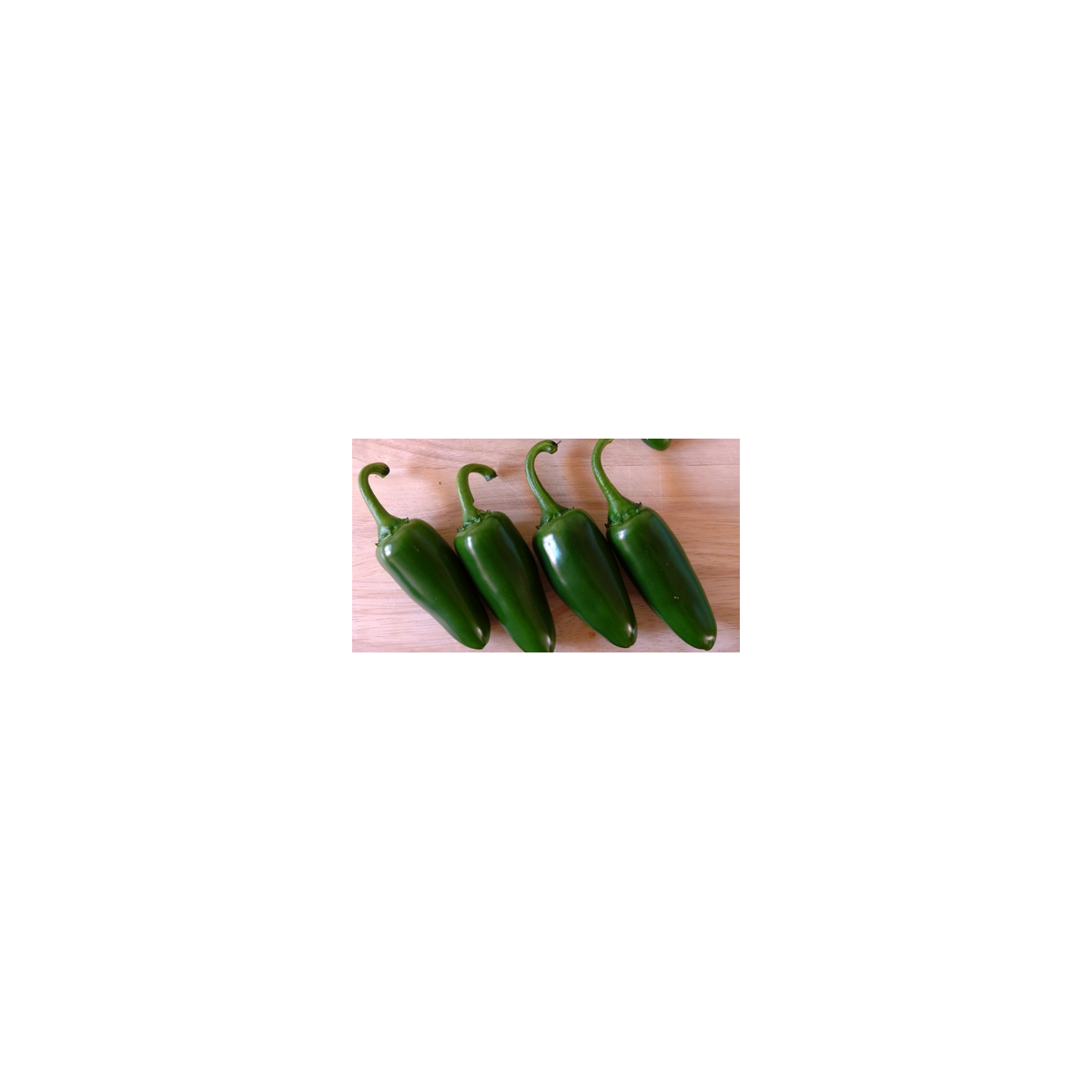 Chilli Chichimeca - semená Chilli - papričky - 6 ks