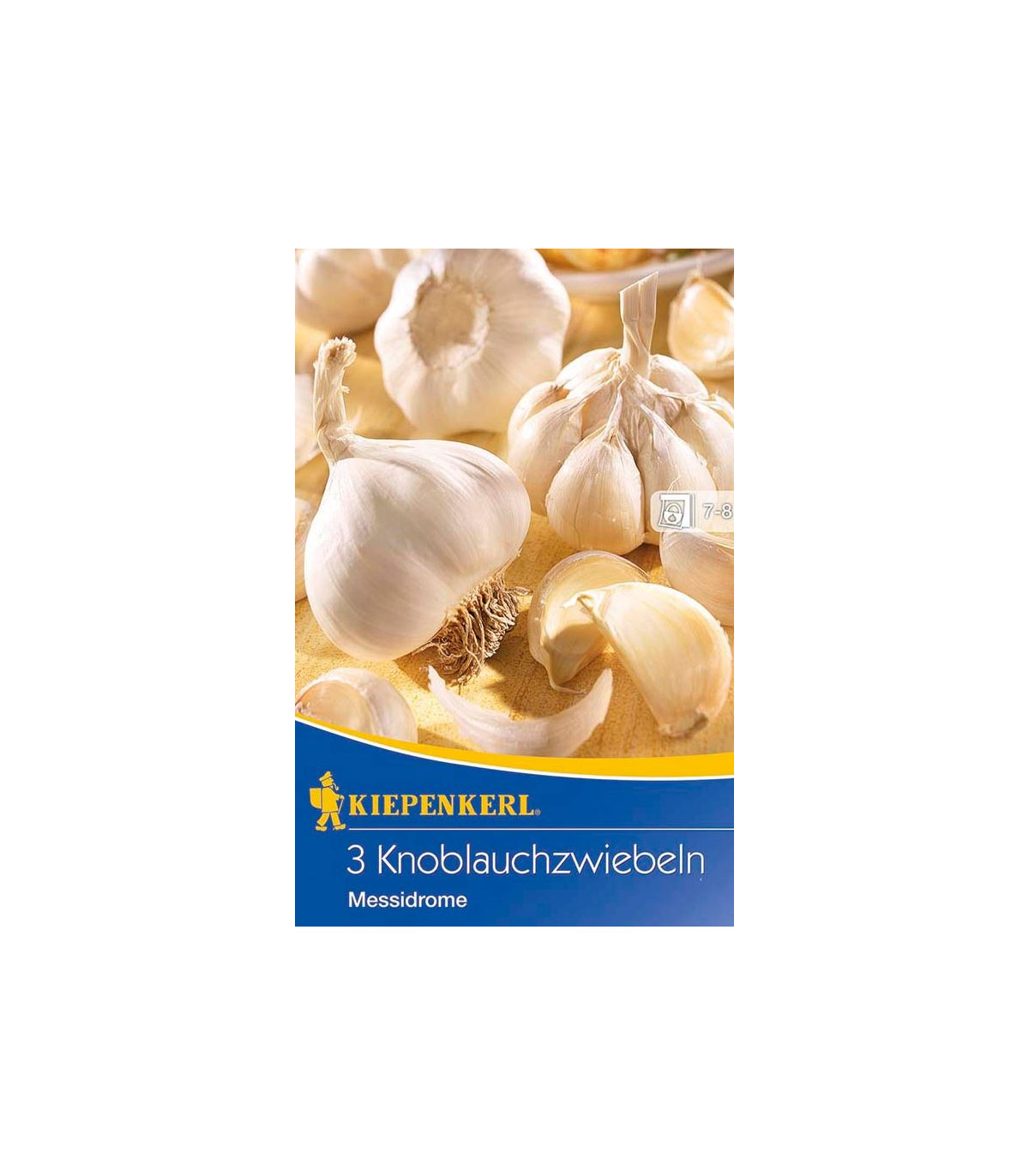 Sadbový Cesnak Messidrome - Allium sativum - nepaličiak - predaj cibulí cesnaku - 1 balenie