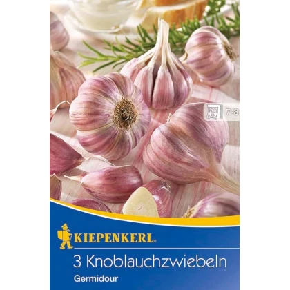 Sadbový Cesnak Germidour - Allium sativum - nepaličiak - predaj cibulí cesnaku - 1 balenie