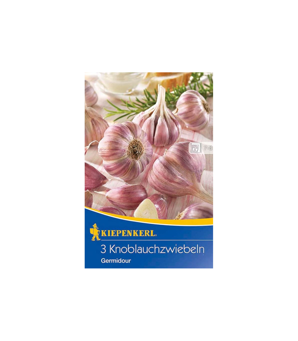 Sadbový Cesnak Germidour - Allium sativum - nepaličiak - predaj cibulí cesnaku - 1 balenie