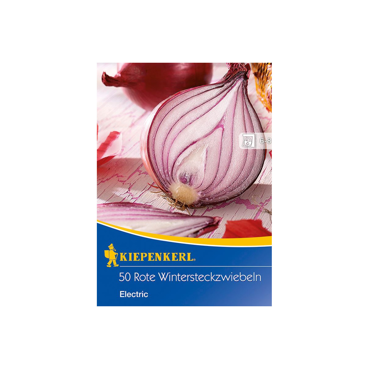 Cibuľa sadzačka červená Electric - Allium cepa - predaj cibule - 50 ks