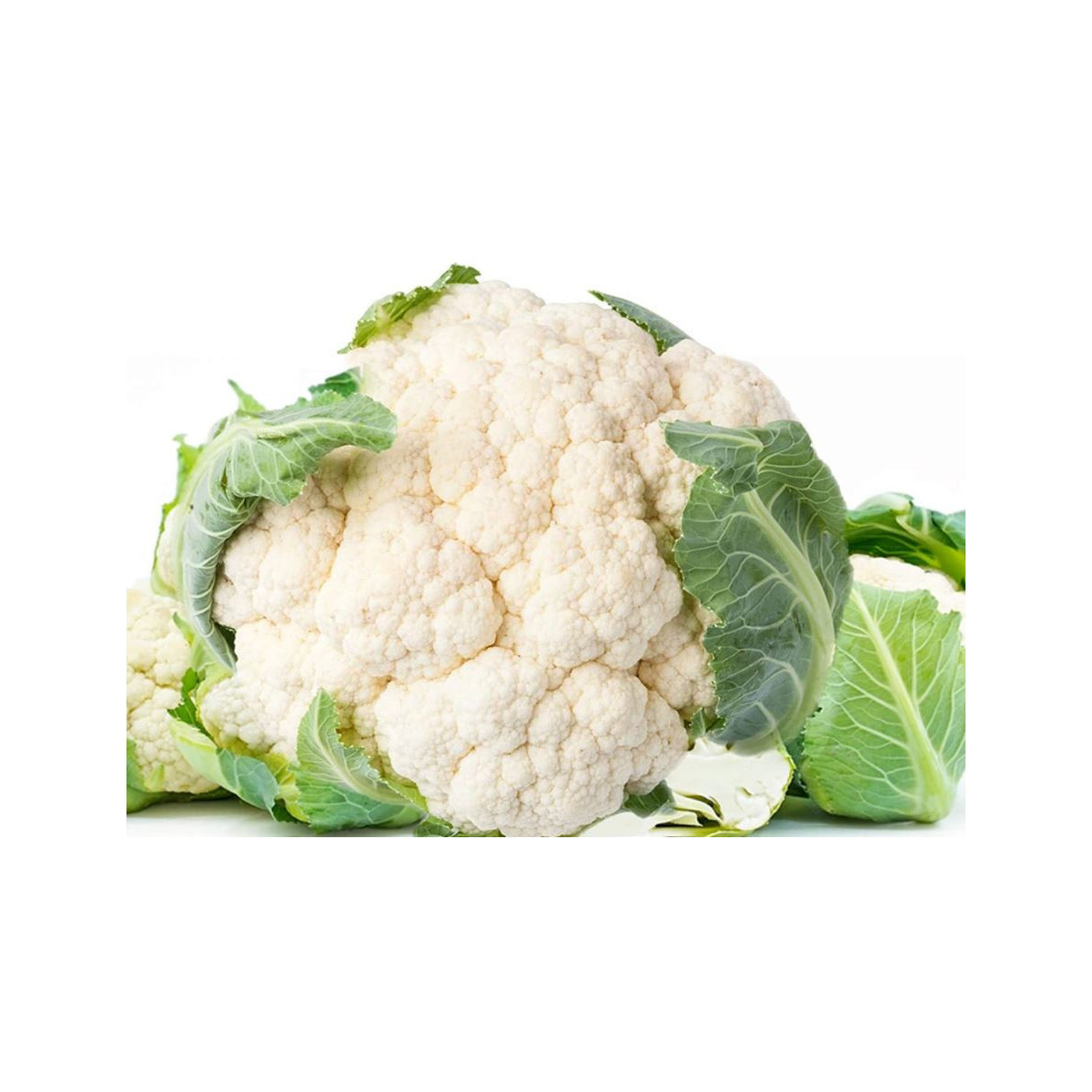 Bio Karfiol skorý Odysseus - Brassica oleracea - predaj bio semien - 20 ks