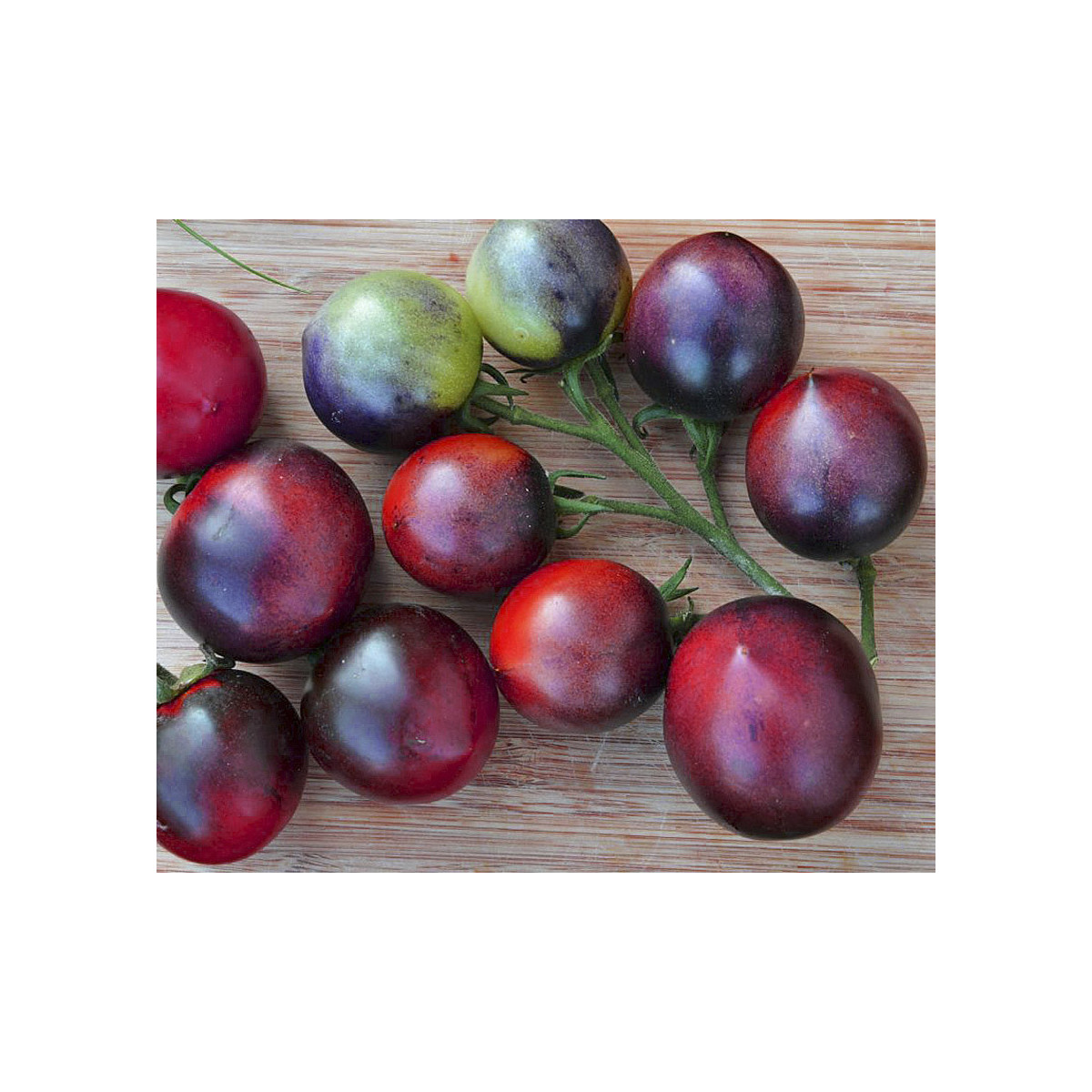 Bio paradajka Indigo Blue Berries - Solanum lycopersicum - predaj bio semien - 7 ks