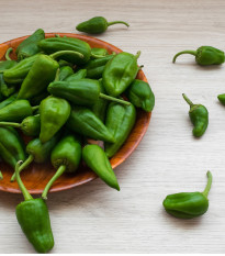 Chilli Pimientos de Padron - Capsicum annuum - predaj semien - 7 ks