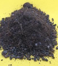 Špeciálny substrát pre ihličnany - substrát pre semená - 100 g