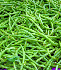 Fazuľa popínavá Neckarkönigin - Phaseolus vulgaris - semienka - 30 ks