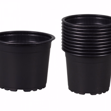 Kvetináč sadbový PREMIUM - 11 cm - 10 ks