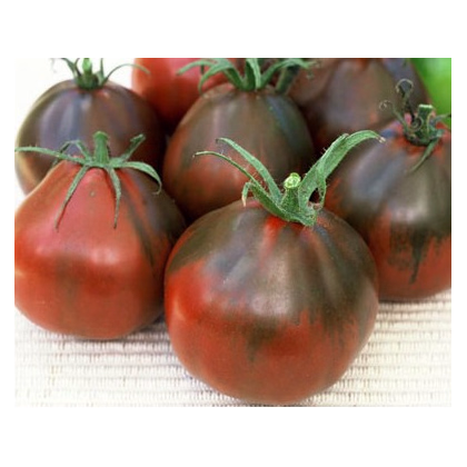 Paradajka - Čierna hruška - semiačka - 6 ks