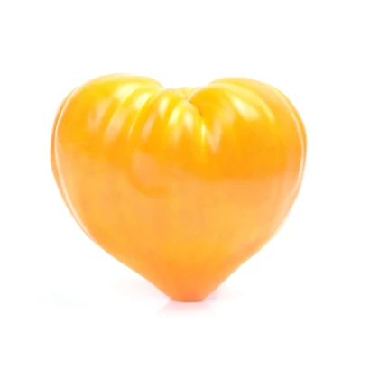 Paradajka - Oranžová jahoda - Solanum lycopersicum - Semená rajčiaka - 6 ks