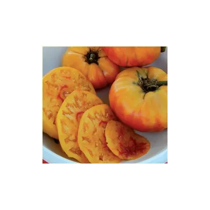 Paradajka - Zlatá medaila - semiačka - 6 ks