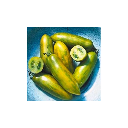 Paradajka - Párok - Semiačka - 6 ks