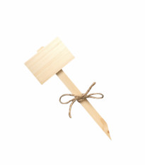 Menovka na označenie sadeníc - drevená - 1 ks