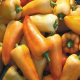 Paprika maďarská Feher - semiačka - 20 ks