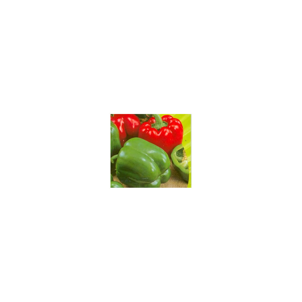Paprika Yolo Wonder - Capsicum annuum -semiačka - 20 ks