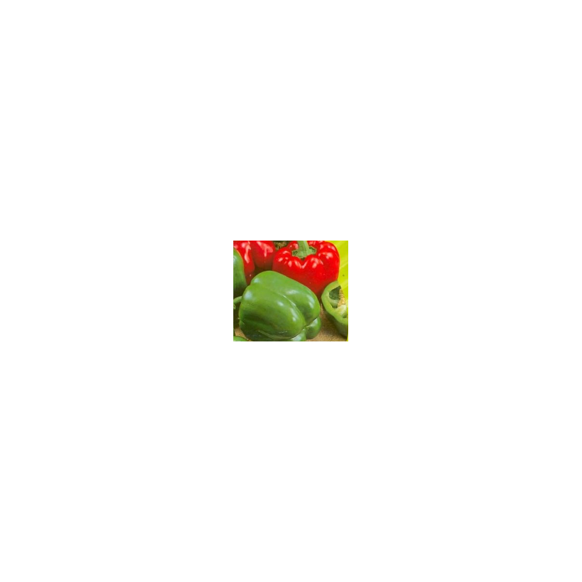 Paprika Merit - Capsicum annuum -semiačka - 20 ks