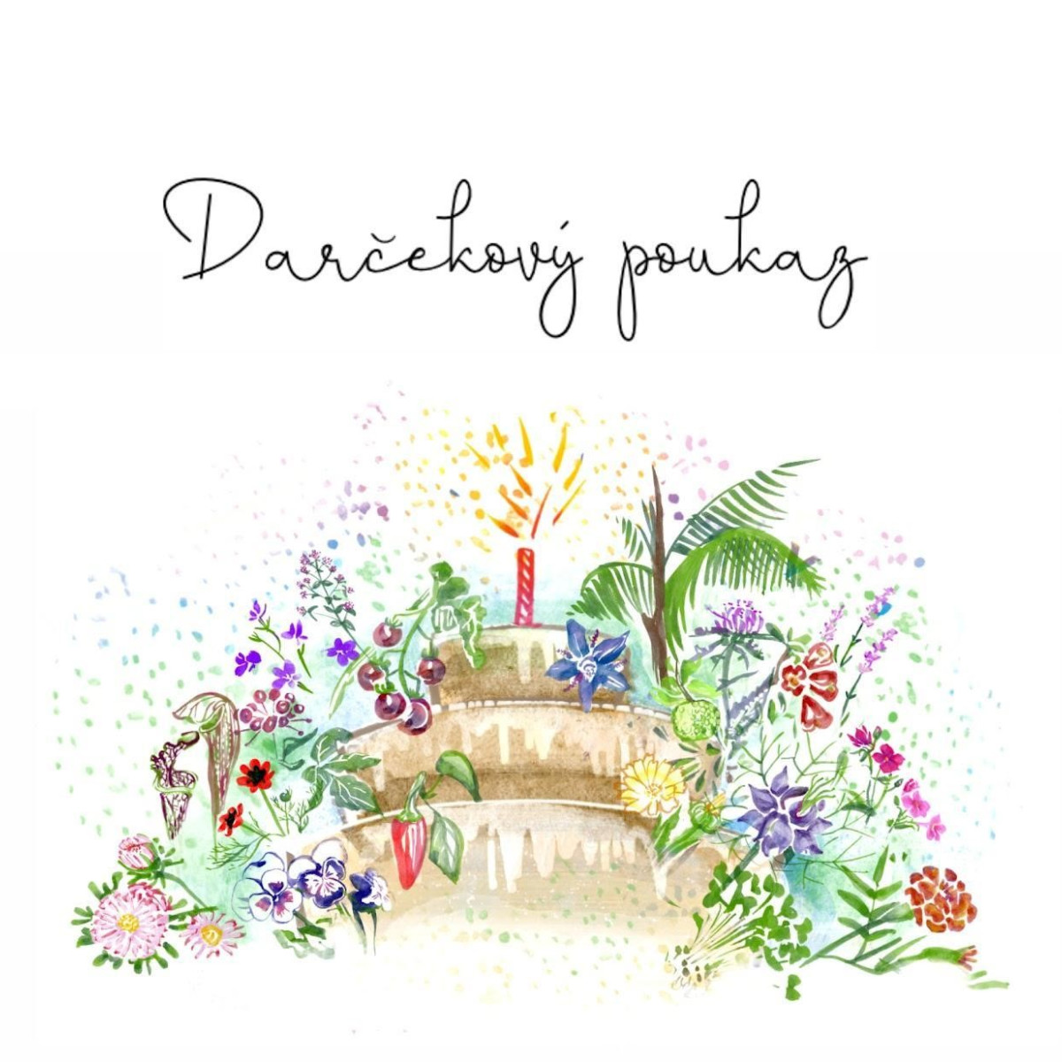 Poukážka k narodeninám v hodnote 60 EUR