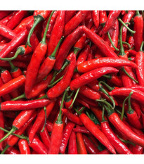 Bio Chilli Kajenské korenie - Capsicum annuum - predaj bio semien - 7 ks