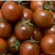 Bio Paradajka čierna Cherry - Solanum lycopersicum - predaj bio semien - 6 ks