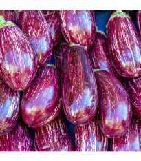 Baklažán Jewel Marble - Solanum melongena - predaj semien - 10 ks