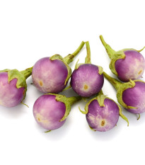 BIO Baklažán Rosa Bianca - Solanum melongena - predaj bio semien - 20 ks
