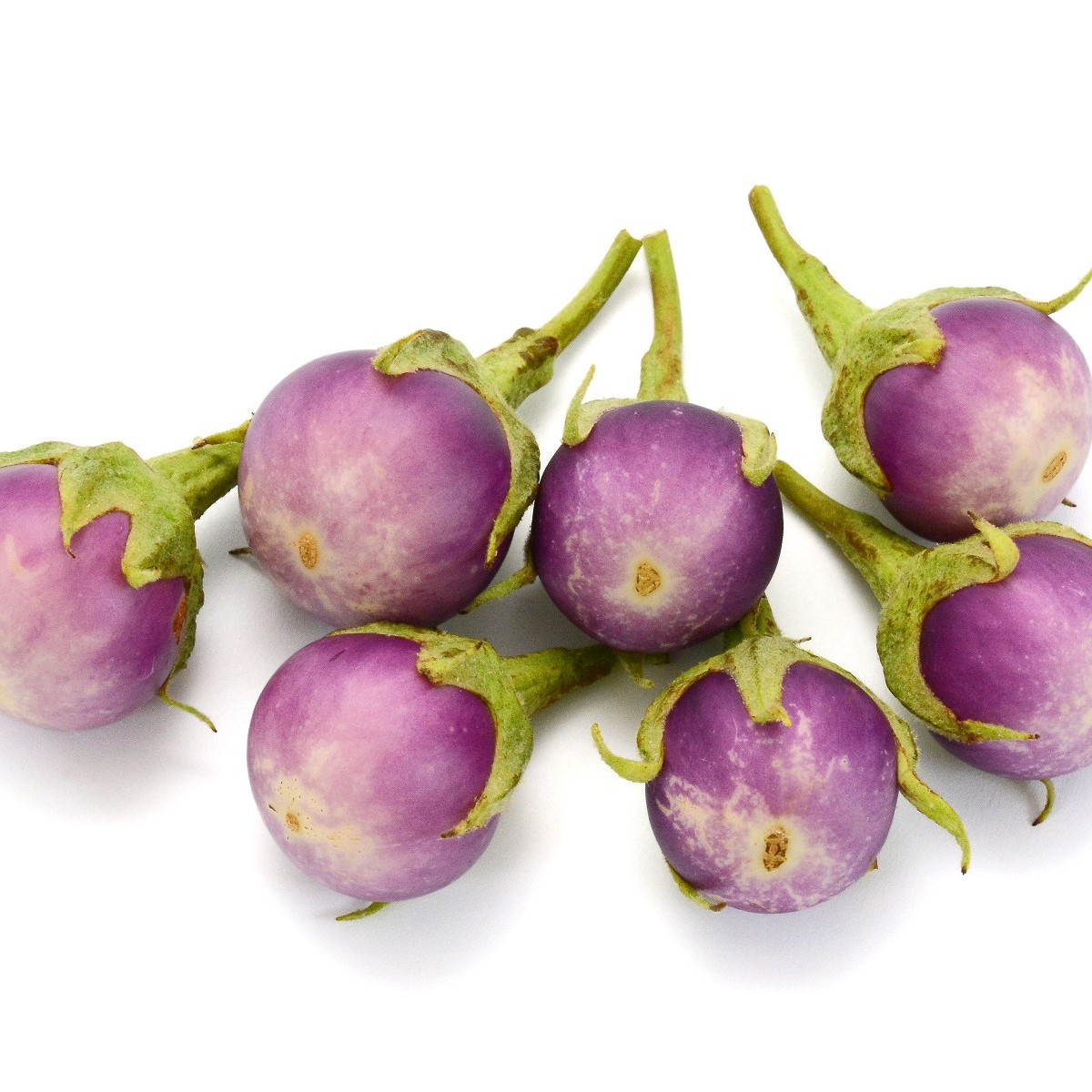 BIO Baklažán Rosa Bianca - Solanum melongena - predaj bio semien - 20 ks