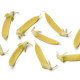 BIO Hrach cukrový Golden Sweet - Pisum sativum - predaj bio semien hrachu - 35 ks