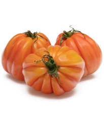 BIO Paradajka Coure di Bue oranžová - Solanum lycopersicum - predaj bio semien - 8 ks