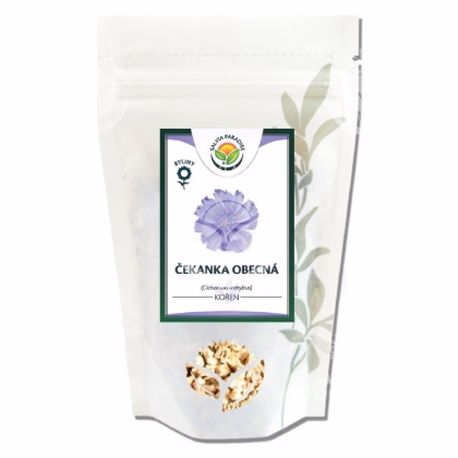 Čakanka obyčajná - Cichorium inthybus - koreň - 100 g