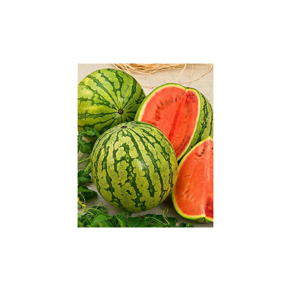 Melón vodný Crimstar F1 - Citrullus lanatus - predaj semien - 6 ks