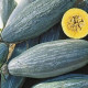 Tekvica Blue Banana - Cucurbita maxima - predaj semien - 5 ks