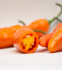 Chilli Aji Amarillo - Capsicum annuum - predaj semien - 7 ks