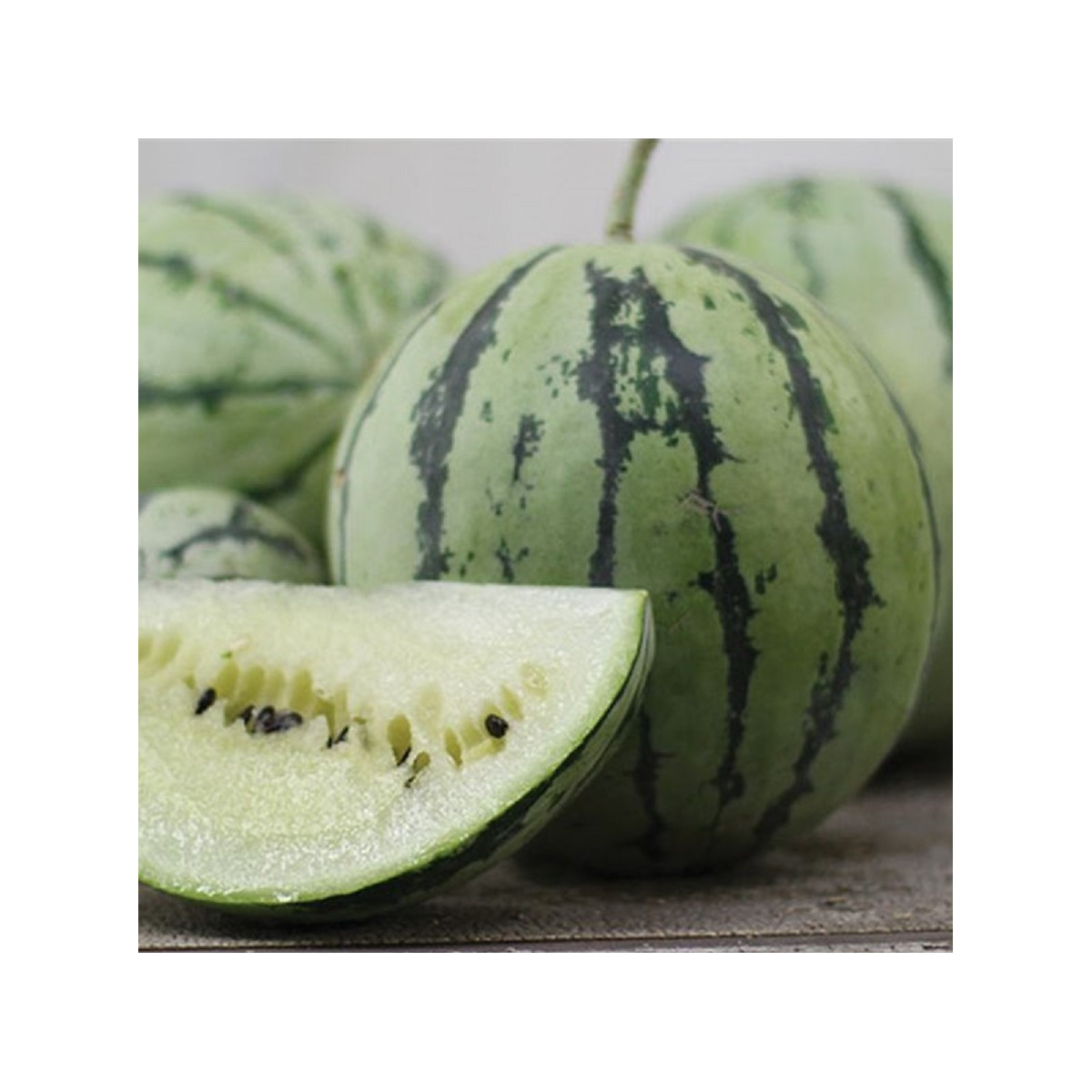 Vodný melón Saskatchewan - Citrullus lanatus - predaj semien - 6 ks