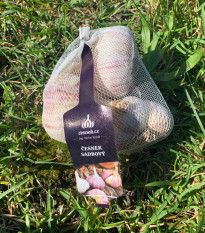 Sadbový cesnak Janko - Allium sativum - paličiak - predaj cibulí cesnaku - 1 balenie