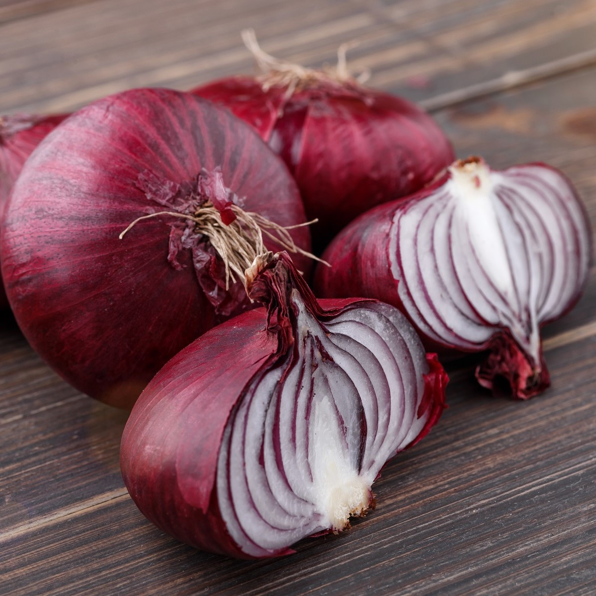 Cibuľa Braunschweiger červená - Allium cepa - semiačka - 250 ks